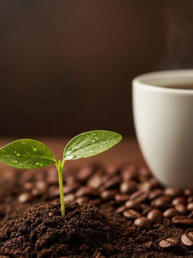 SEGREDO REVELADO!
Sua planta precisa de café… mas não do jeito que você pensa!